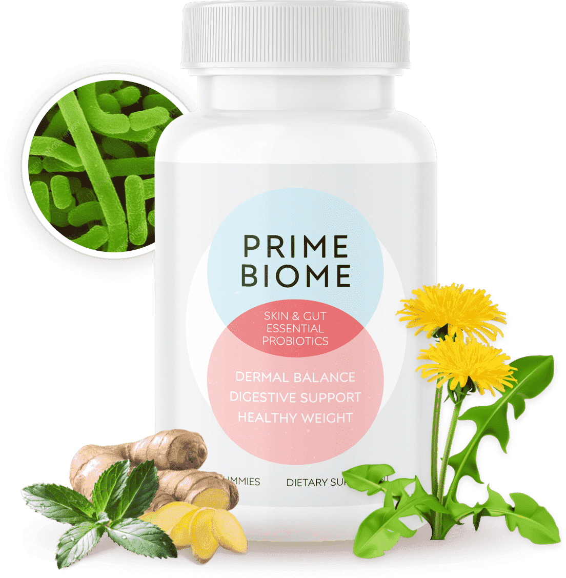 PrimeBiome - Probiotic Supplement